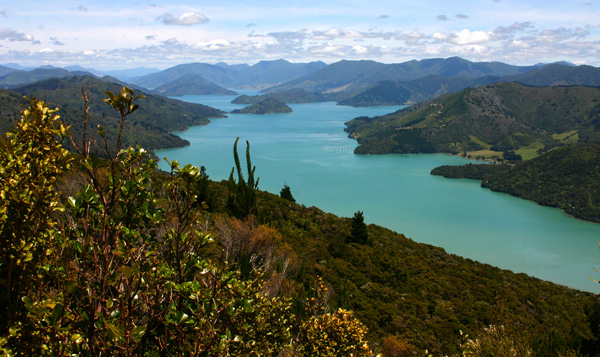 queen charlotte track